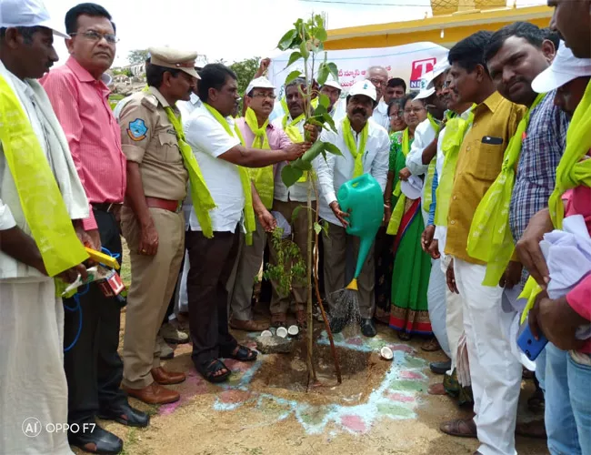 Rammohan Reddy  Haritha Haram Programme In Mahabubnagar - Sakshi