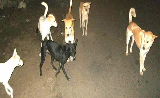 Dogs Threat In Visakhapatnam Out Cuts - Sakshi