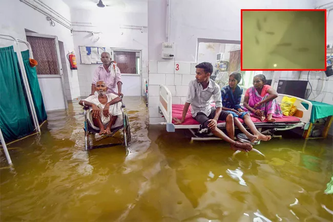 Rainwater In Patna Nalanda Medical College ICU - Sakshi