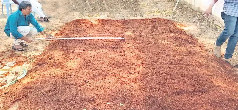 Coconut husk as a organic compost! - Sakshi