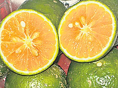 Orange cancer prevention - Sakshi