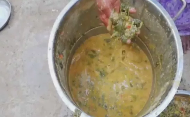 Rat Skin In Lunch In YSR Kadapa - Sakshi