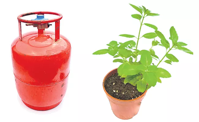 Three Plants Distribute Every One cooking gas cylinder Booking In Hyderabad - Sakshi