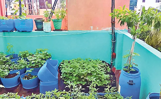 Urban Farming Will Growing In Hyderabad - Sakshi