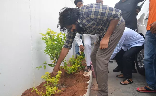 Pawan Kalyan Accepted Haritha Haram Challenge By Chiranjeevi - Sakshi