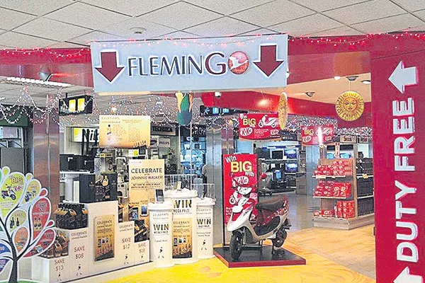 SEBI Green Signal for Flamingo Travel Retail Ipo - Sakshi