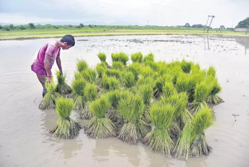 BJP government committed to growth of agriculture sector - Sakshi