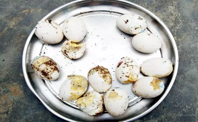 The rotten eggs in lunch - Sakshi