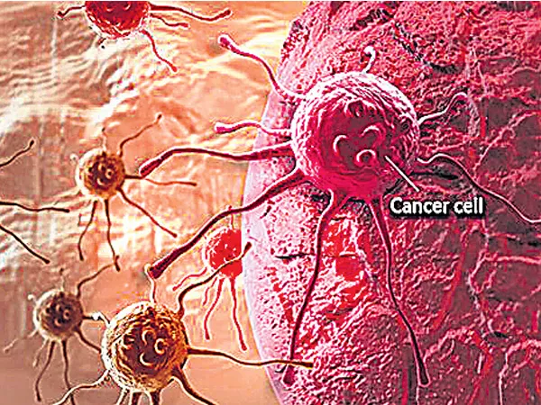 Michigan University Research On Cancer Stem Cell - Sakshi