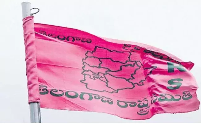 KCR Focus On Increase TRS Party Strength In Districts - Sakshi