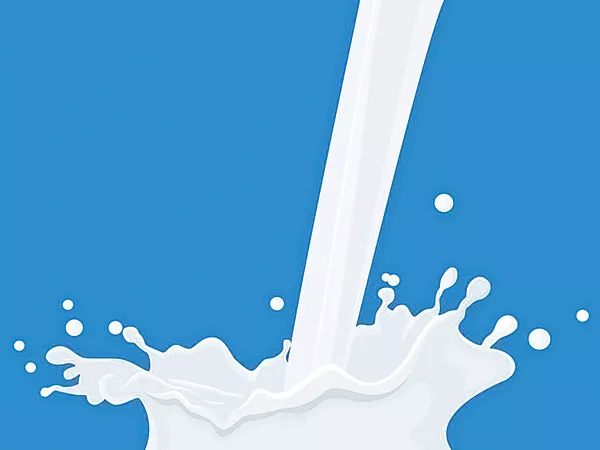 Dairy farmers worry about Milk being wastage by Vijaya Dairy - Sakshi