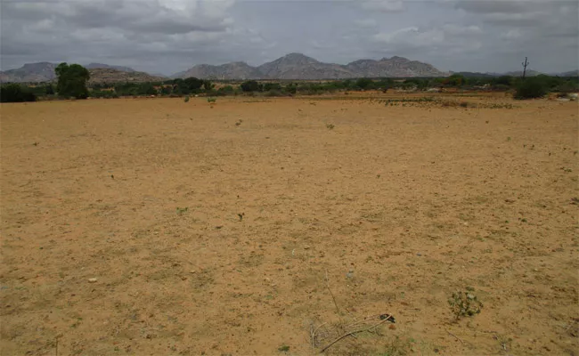 Serious Problems Livestock Fodder In YSR Kadapa - Sakshi