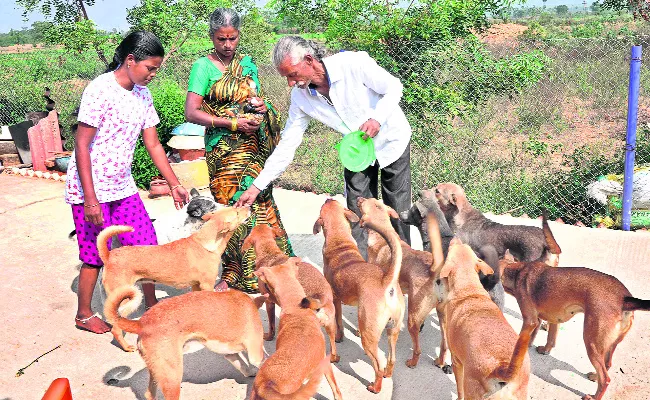 Pet Dogs Animal Lover Special Story - Sakshi