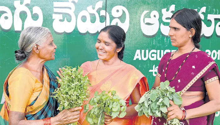 Alternate greens:duckling is equal to the egg - Sakshi