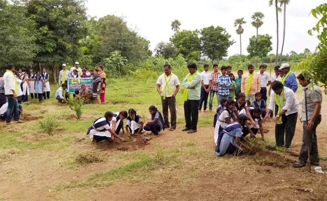 Haritha Haram In Warangal - Sakshi