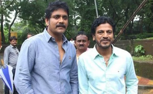 Nagarjuna Ready To Acting With ShivaRaj kumar - Sakshi