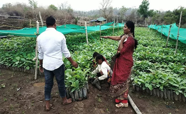 All Grama Panchayat In Nursery Programme In Adilabad - Sakshi