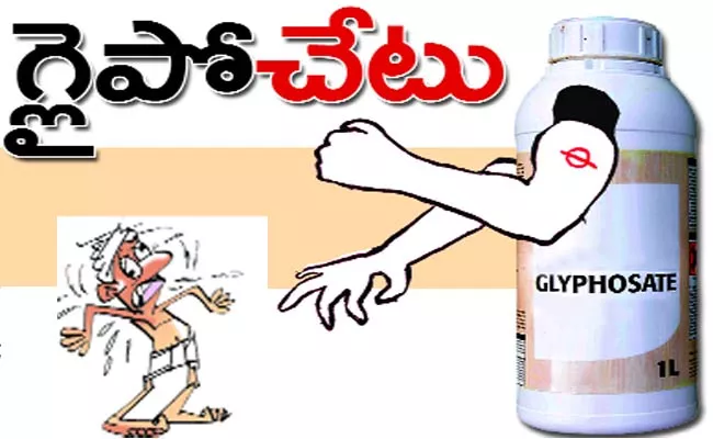 Glyphosate Side Effects On Agriculture Land In Kurnool - Sakshi