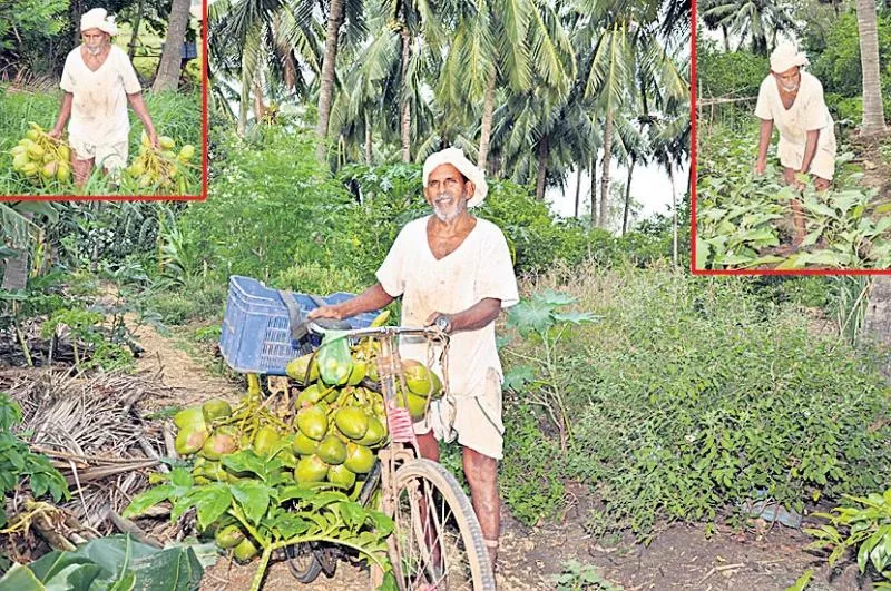 Betta former life is the crop! - Sakshi