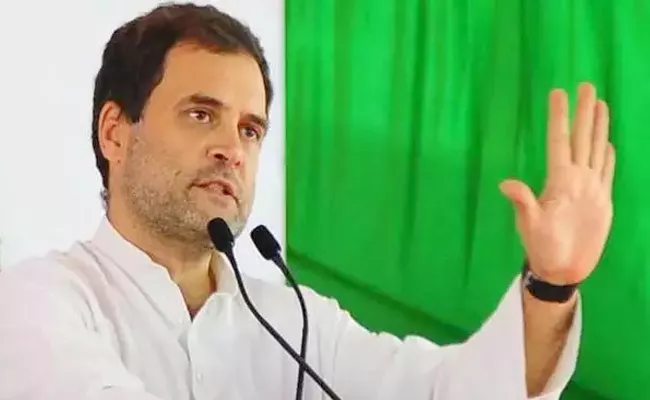 Rahul Gandhi Positive Response On Congress Alliance with Tdp - Sakshi