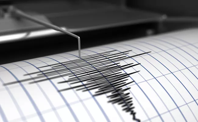 Small Earthquake In Bhadradri Kothagudem District - Sakshi