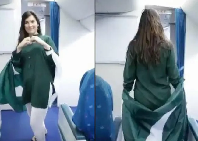 Tourist Kiki Challenge In Aeroplane Gets Pakistan International Airlines Into Trouble - Sakshi