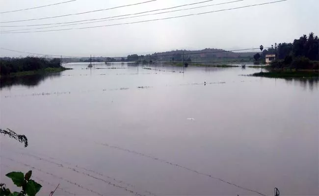 Crop Collapsed By Rain - Sakshi