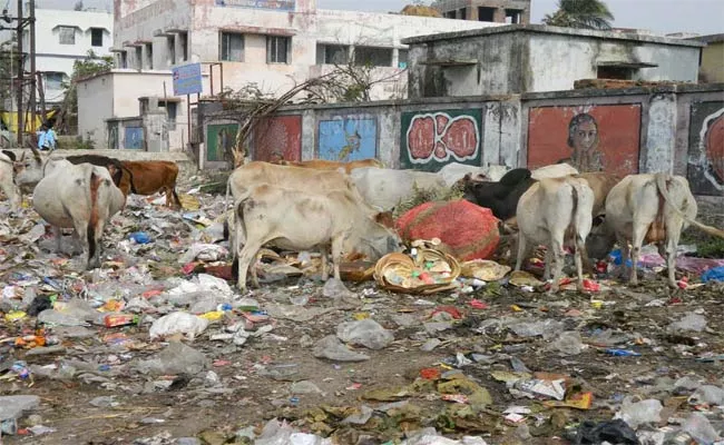 No swachh bharat In Orissa - Sakshi