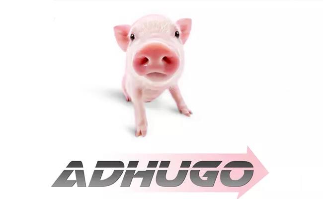 Ravibabu Adugo Release Date Confirmed - Sakshi