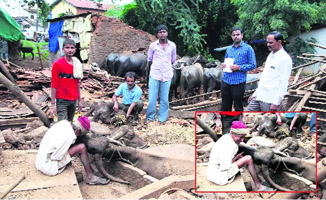 Dairy farmer Worried About Dairy cattles Died In Rain In Karnataka - Sakshi