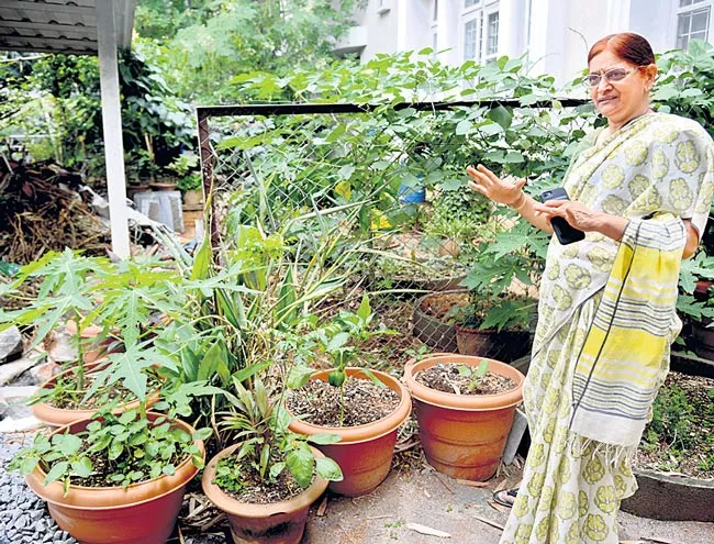 Create your Biodiversity Garden - Sakshi