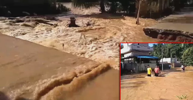 Heavy Rains In Andhra Pradesh - Sakshi