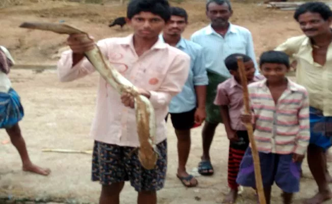 3 Feet Fish In Srikakulam - Sakshi