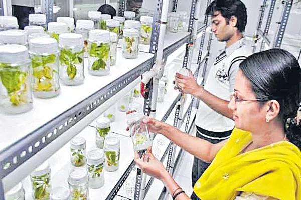 No funds to agriculture labs - Sakshi