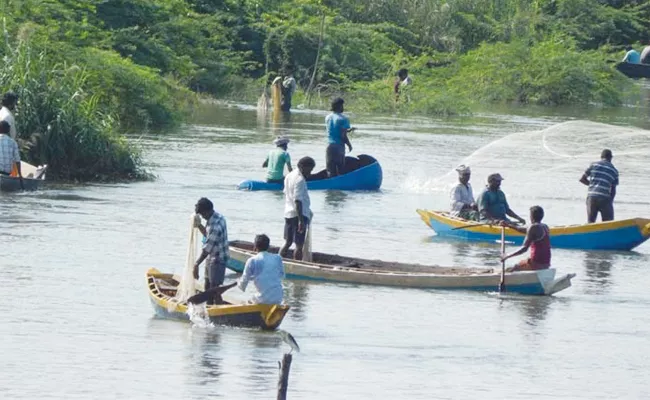 Fish Huntings Starts In Upputeru West Godavari - Sakshi