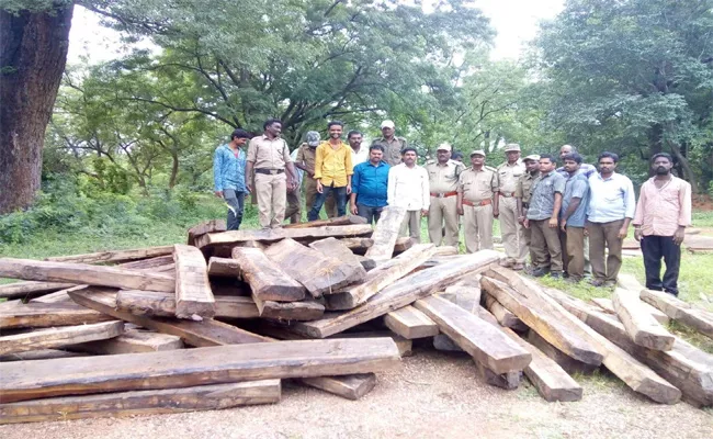 Wood Smuggling Arrested In Adilabad - Sakshi