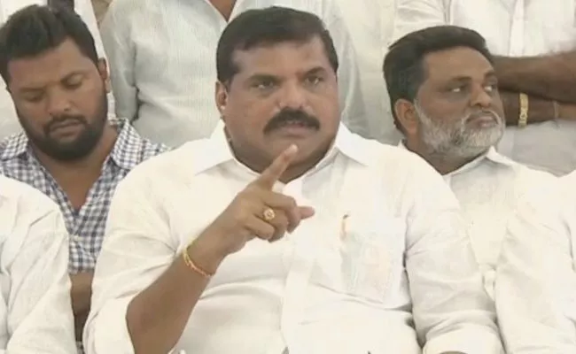 Botsa Satyanarayana Slams TDP Leaders In Vizianagaram - Sakshi