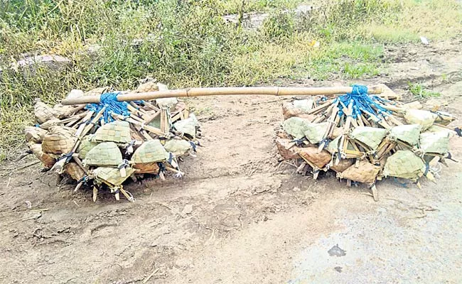 Rat Catchers In Medak  - Sakshi