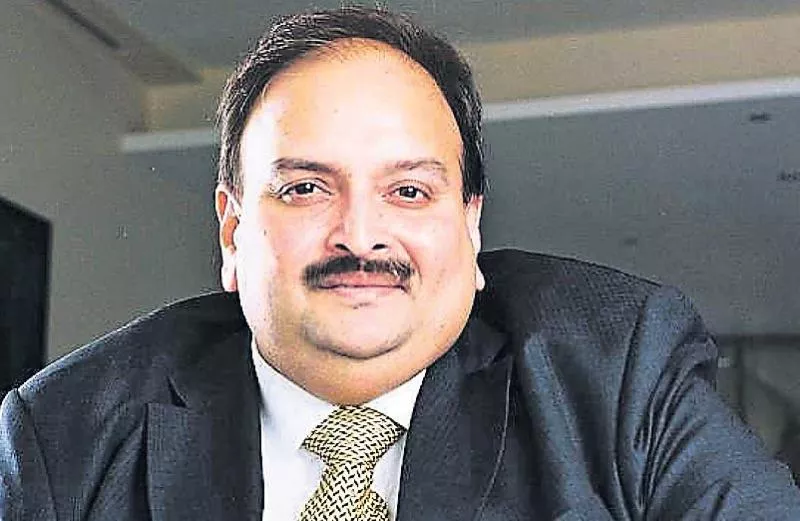 India gave clean chit for Choksi's citizenship - Sakshi