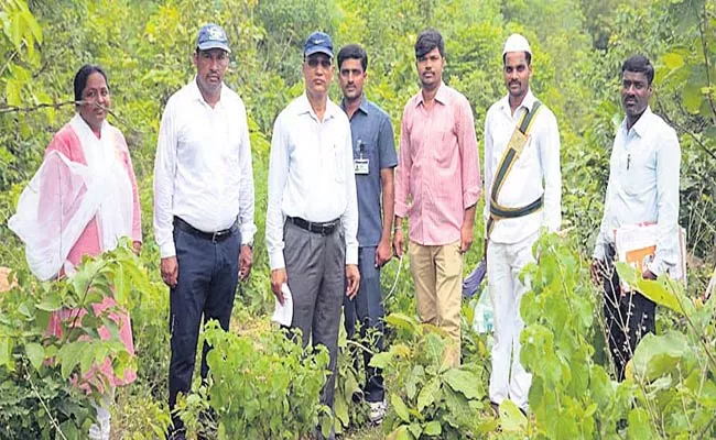 Eco Tourism Park In The Forest Of Narsapur - Sakshi