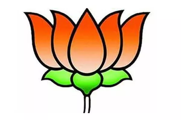 BJP focus on institutional strengthening - Sakshi