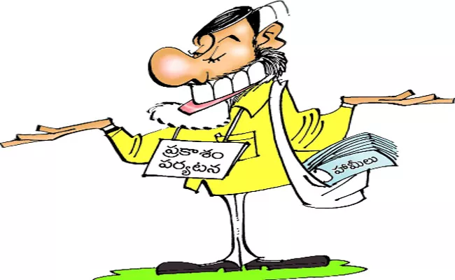 Chandrababu Naidu Tour In Prakasam - Sakshi