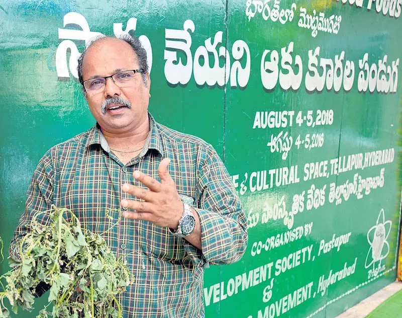 Weed plants are a mixed crops - Sakshi