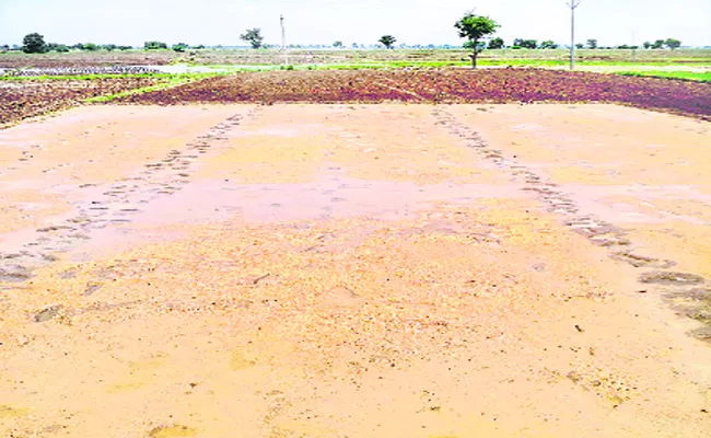 Water Release To KC Canal Farmers  YSR Kadapa - Sakshi