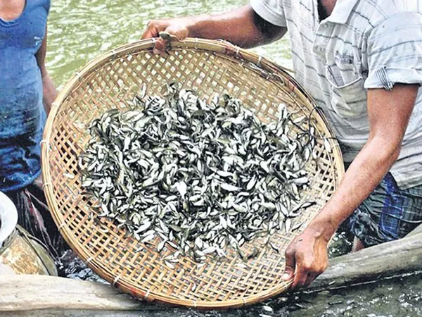 Distributed free fish children as sluggish - Sakshi