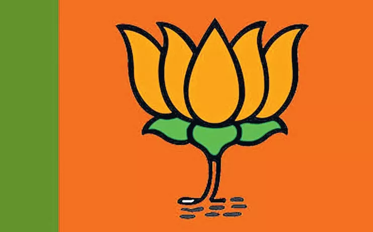 BJP to apply 'T20' formula for 2019 Lok Sabha election - Sakshi