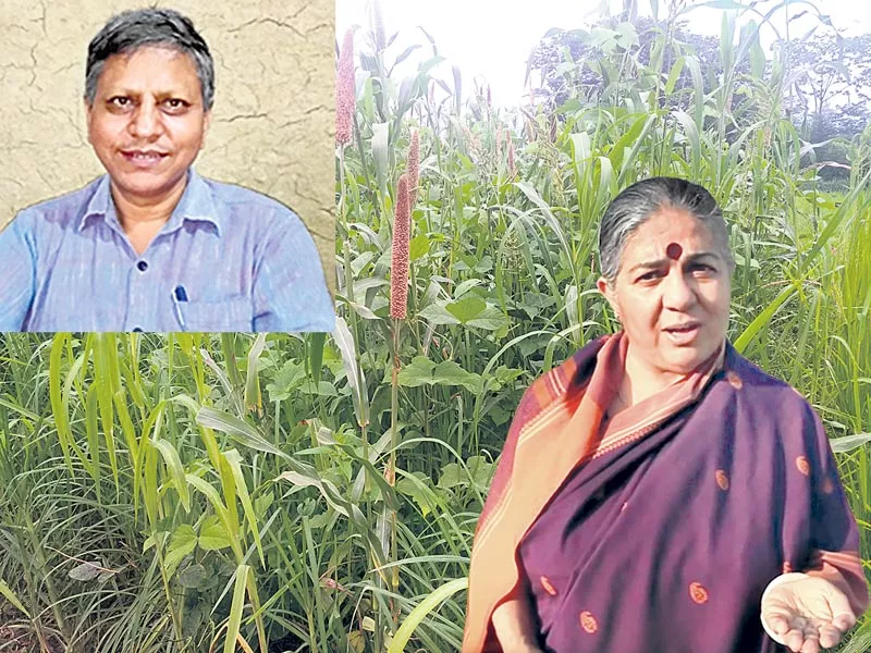 Navdanya Organic Farming Finds a Growing Fan Base in India - Sakshi