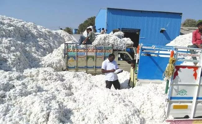 Cotton Purchases Support Prices Not Implement In Adilabad - Sakshi