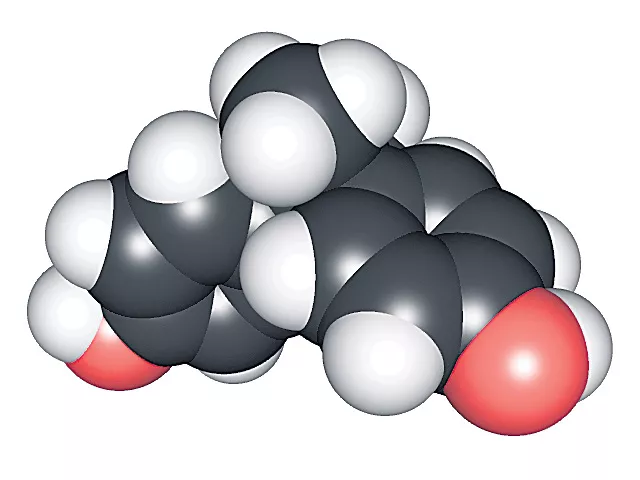 Diabetes with BPA emulsion? - Sakshi