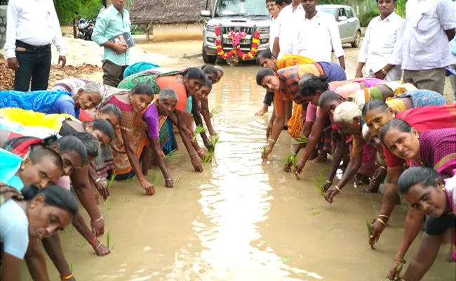 MLA RK Roja Protest About Bad Situation Of Roads By Plowing On Road - Sakshi